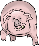 cartoon pig